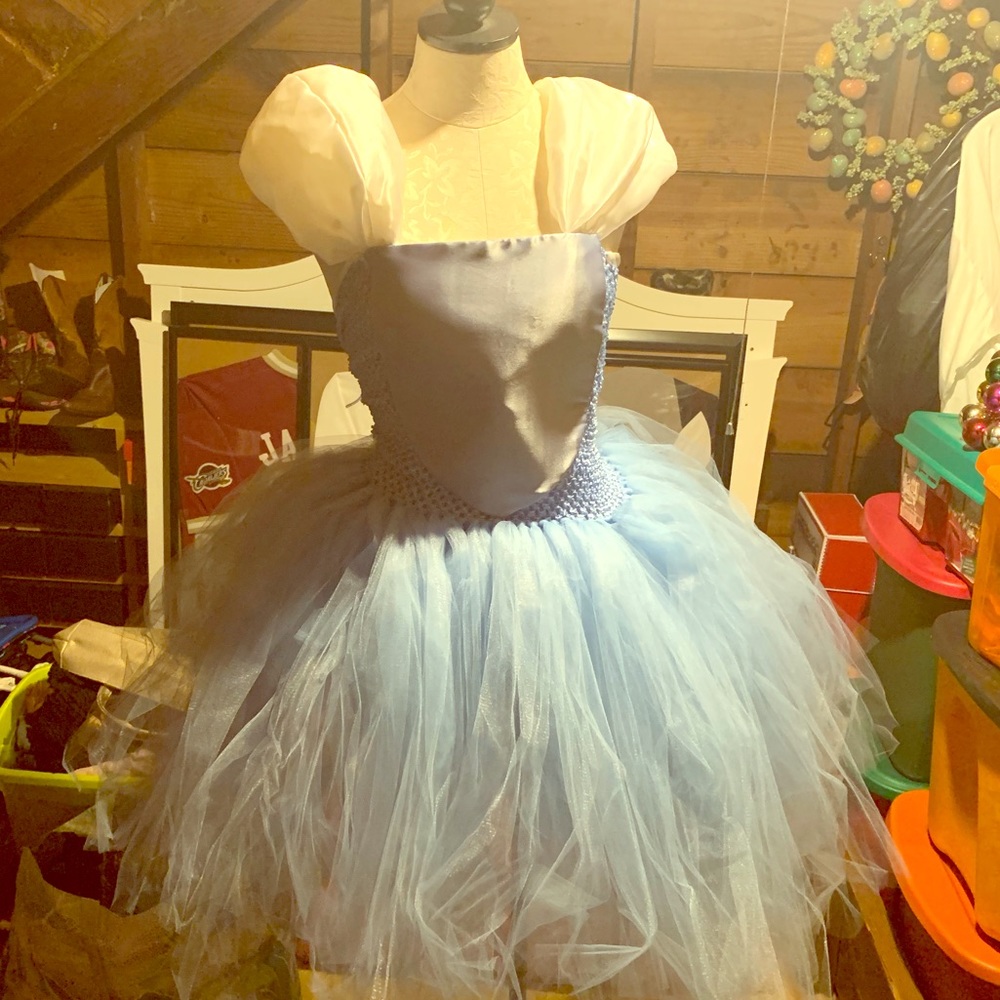 Amazing Handmade Cinderella Costume